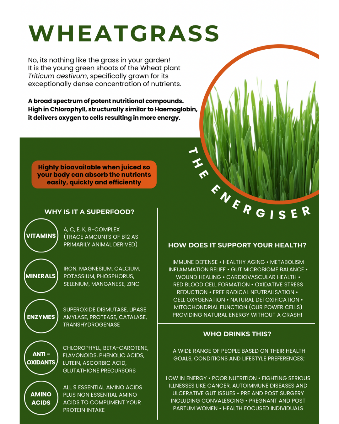 Box of 28 - Immunity Blend