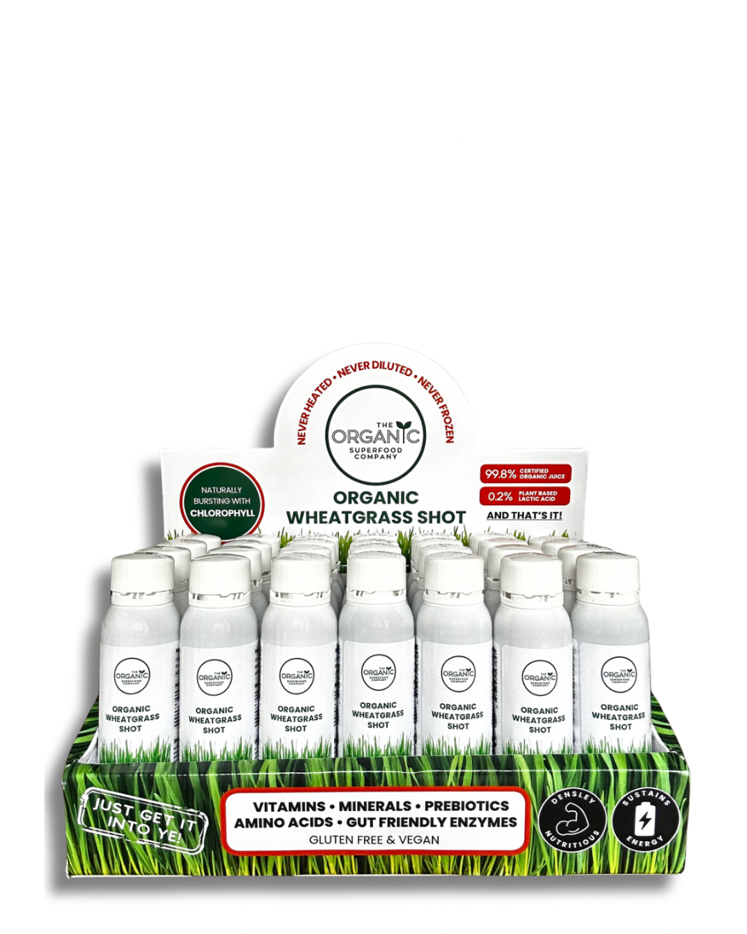 Box of 28 - Immunity Blend